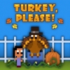 Turkey, Please! artwork