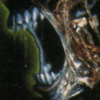 Alien Trilogy (XSX) game cover art