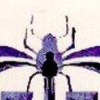 Bug Riders artwork
