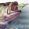 Championship Bass (XSX) game cover art