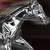 Gallop Racer (XSX) game cover art