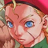 Street Fighter Collection (XSX) game cover art