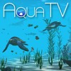 Aqua TV artwork