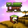 Cube Life: Island Survival (XSX) game cover art
