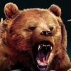 Cabela's Big Game Hunter: Pro Hunts (XSX) game cover art