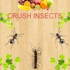 Crush Insects (XSX) game cover art