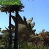 Dinox (XSX) game cover art