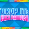 Drop It: Block Paradise (XSX) game cover art