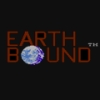 Earthbound Beginnings artwork