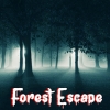 Forest Escape artwork