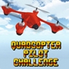 Quadcopter Pilot Challenge artwork