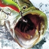 Rapala Pro Bass Fishing (XSX) game cover art