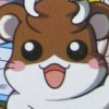 Dokodemo Hamster 3: O Dekake Safuran (XSX) game cover art