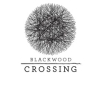 Blackwood Crossing (XSX) game cover art