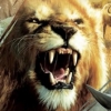 Cabela's African Adventures artwork