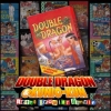 Double Dragon (XSX) game cover art