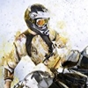 MX vs. ATV: Supercross Encore (XSX) game cover art