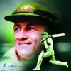 Don Bradman Cricket artwork