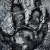 Evolve artwork
