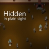 Hidden in Plain Sight (XSX) game cover art