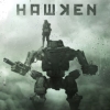 Hawken artwork