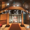 Life of Fly (XSX) game cover art