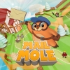 Mail Mole (XSX) game cover art