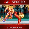 ACA NeoGeo: 3 Count Bout artwork