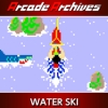 Arcade Archives: Water Ski (XSX) game cover art
