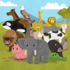 Animal Fun for Toddlers and Kids artwork