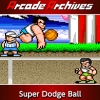Arcade Archives: Super Dodge Ball (XSX) game cover art