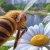 Bee Simulator (XSX) game cover art