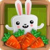 Bunny Adventure (XSX) game cover art