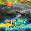 Catch 'Em! Goldfish Scooping (XSX) game cover art