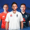 Cricket 19 (XSX) game cover art