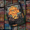 Double Dragon III: The Sacred Stones artwork