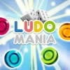 Ludomania artwork