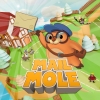 Mail Mole artwork