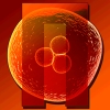 Nuclien (XSX) game cover art