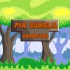 Pix Jungle Adventures (XSX) game cover art