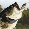 Rapala Fishing Pro Series (XSX) game cover art