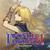 Record of Lodoss War: Deedlit in Wonder Labyrinth (XSX) game cover art