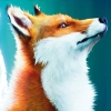 Spirit of the North (XSX) game cover art