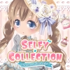Selfy Collection: The Dream Fashion Stylist! (XSX) game cover art