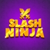 Slash Ninja (XSX) game cover art