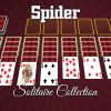 Spider Solitaire Collection (XSX) game cover art