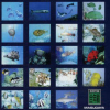 Aqua World: Umibi Monogatari (XSX) game cover art