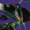 Shockwave Assault (XSX) game cover art