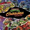 Teenage Mutant Ninja Turtles: The Cowabunga Collection artwork
