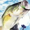 Top Angler: Real Bass Fishing (GameCube) cover art